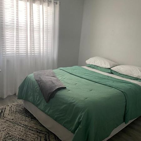 Modern Townhome Tampa Ngoại thất bức ảnh