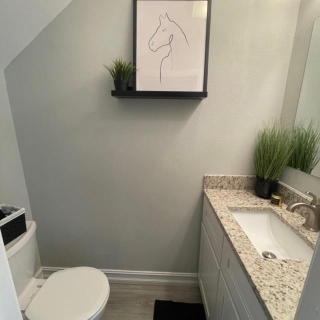 Modern Townhome Tampa Ngoại thất bức ảnh